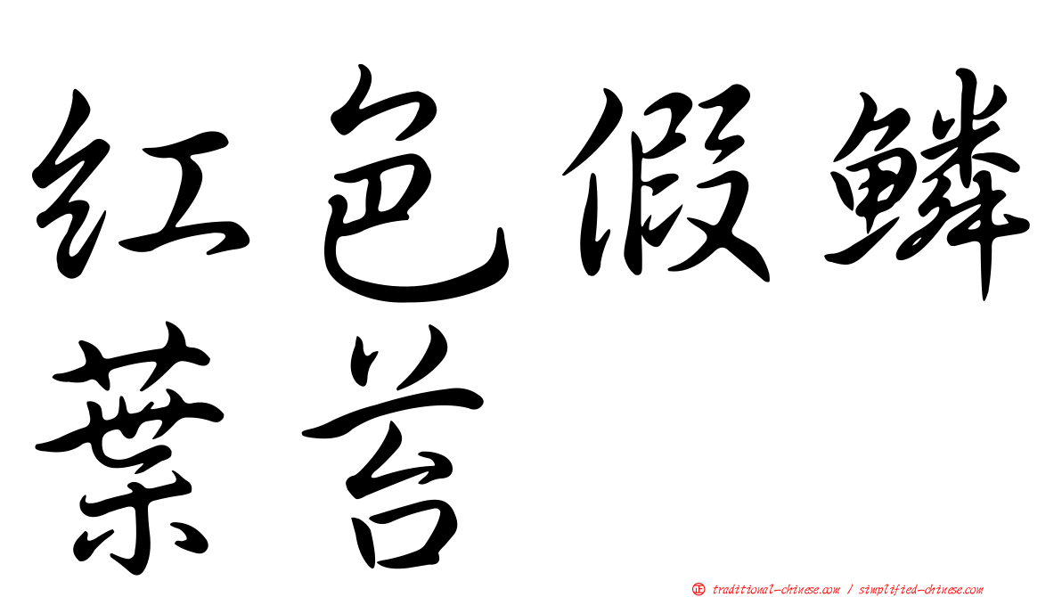 紅色假鱗葉苔