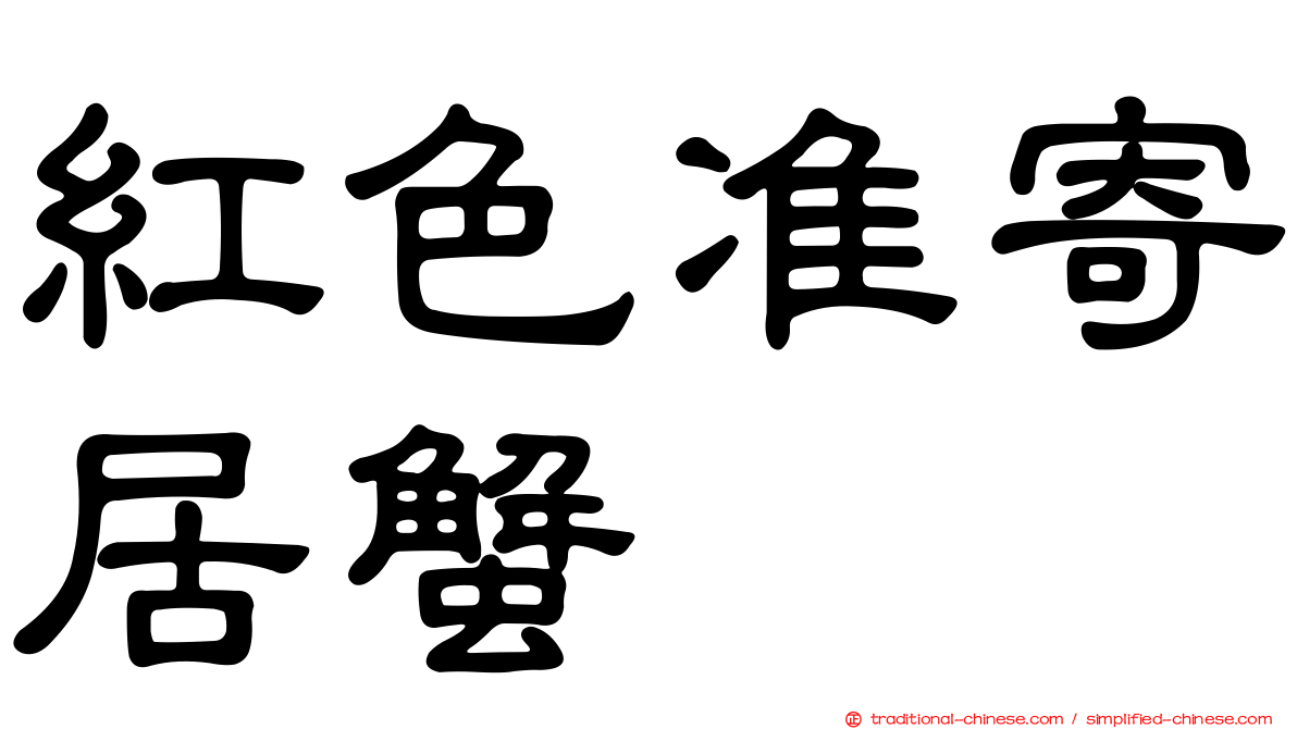 紅色准寄居蟹