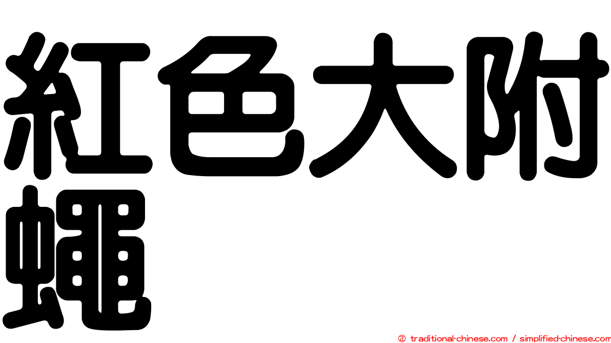 紅色大附蠅