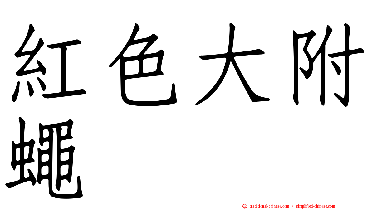 紅色大附蠅