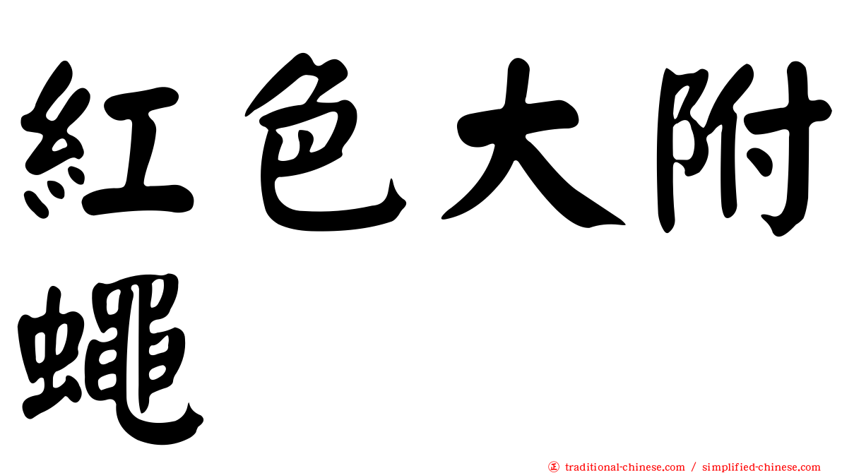紅色大附蠅