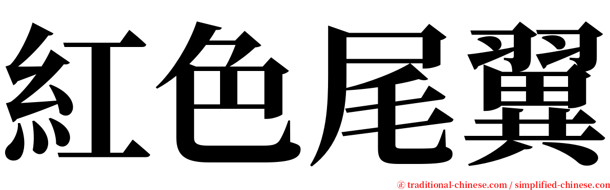 紅色尾翼 serif font