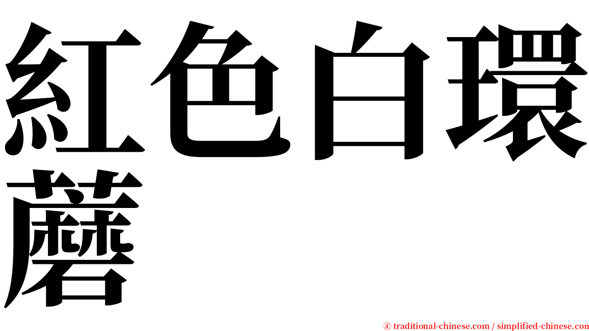 紅色白環蘑 serif font