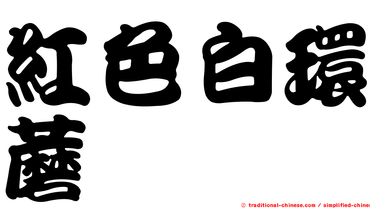 紅色白環蘑
