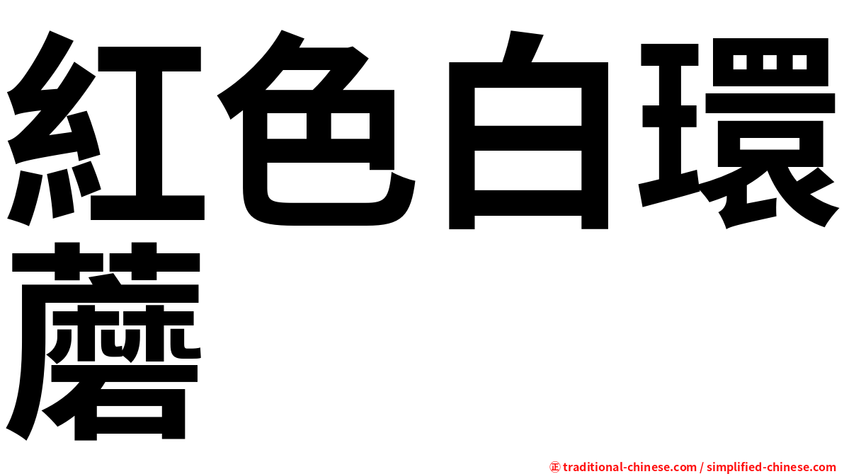 紅色白環蘑