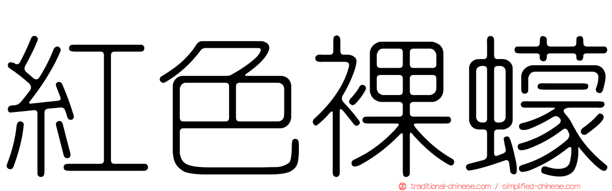 紅色裸蠓