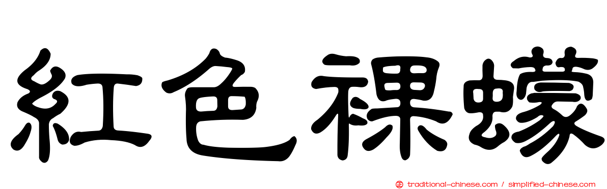 紅色裸蠓