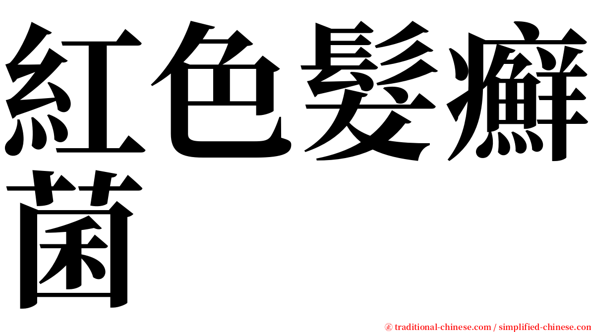 紅色髮癬菌 serif font