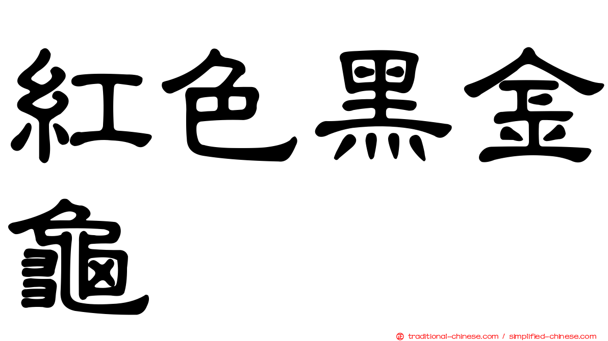 紅色黑金龜