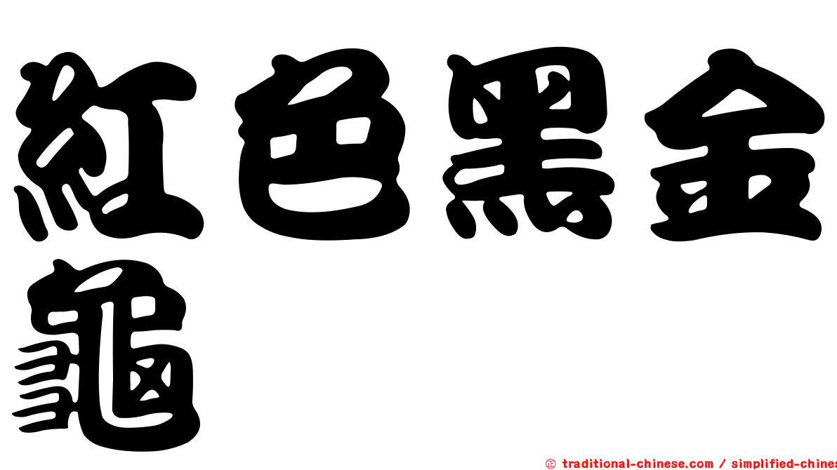 紅色黑金龜