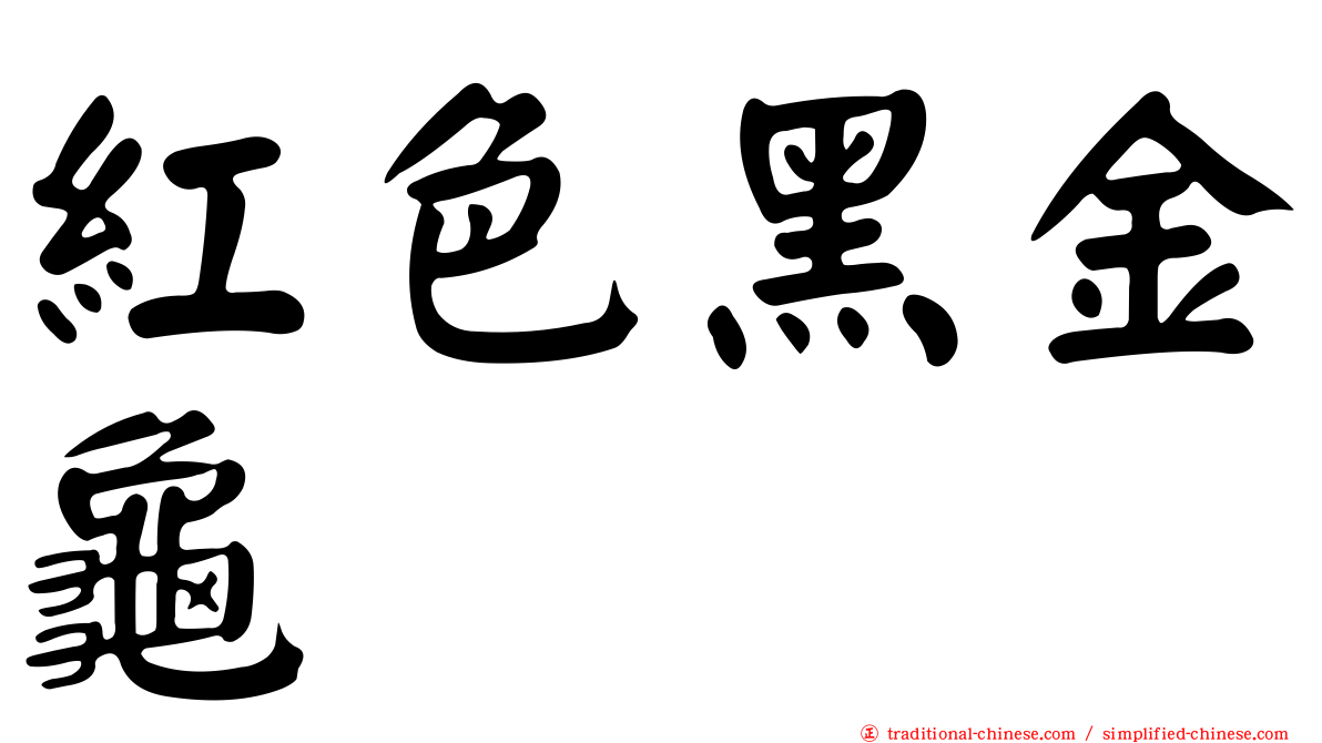 紅色黑金龜