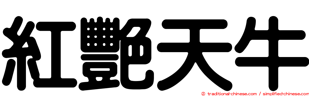 紅艷天牛