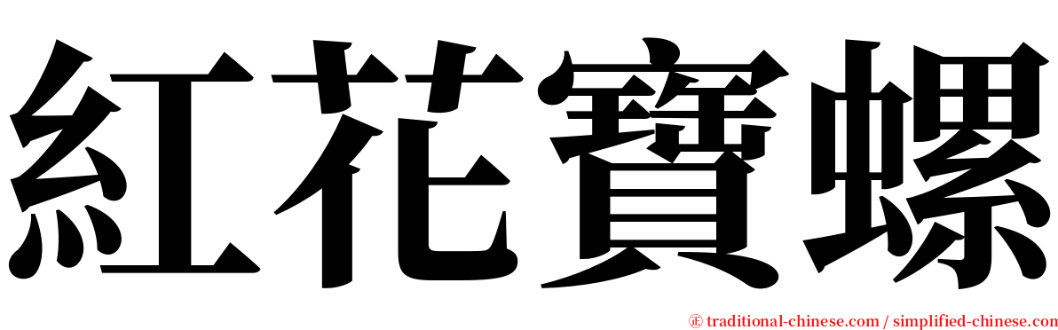 紅花寶螺 serif font