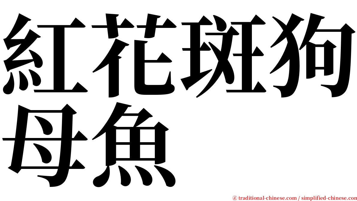 紅花斑狗母魚 serif font