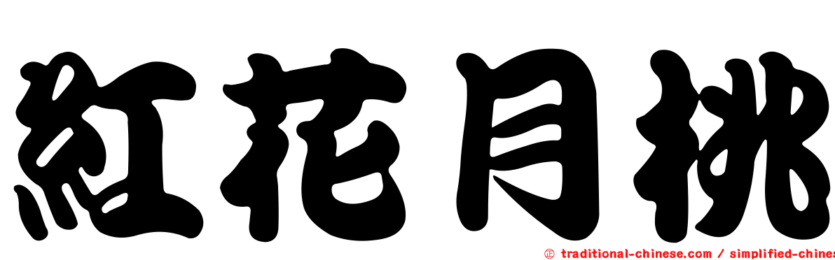 紅花月桃