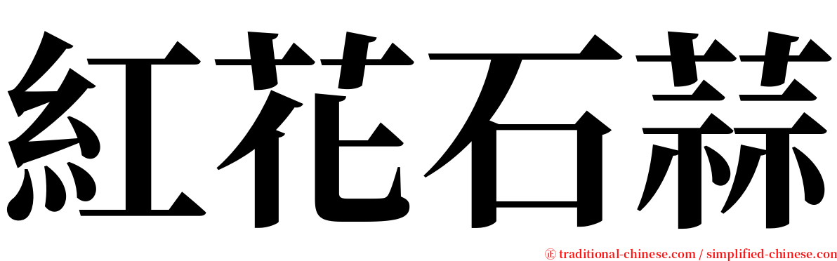 紅花石蒜 serif font