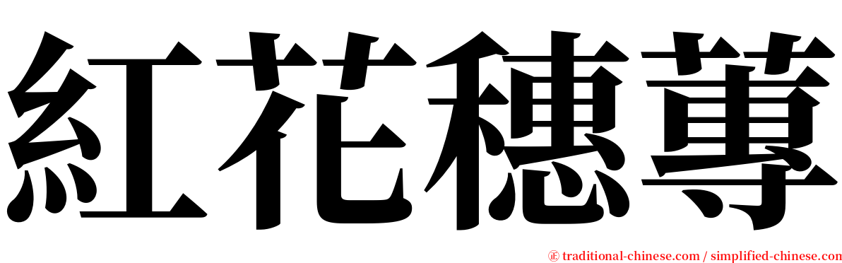 紅花穗蓴 serif font