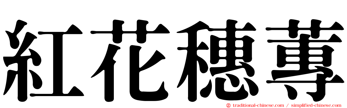 紅花穗蓴