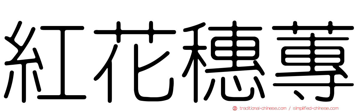 紅花穗蓴