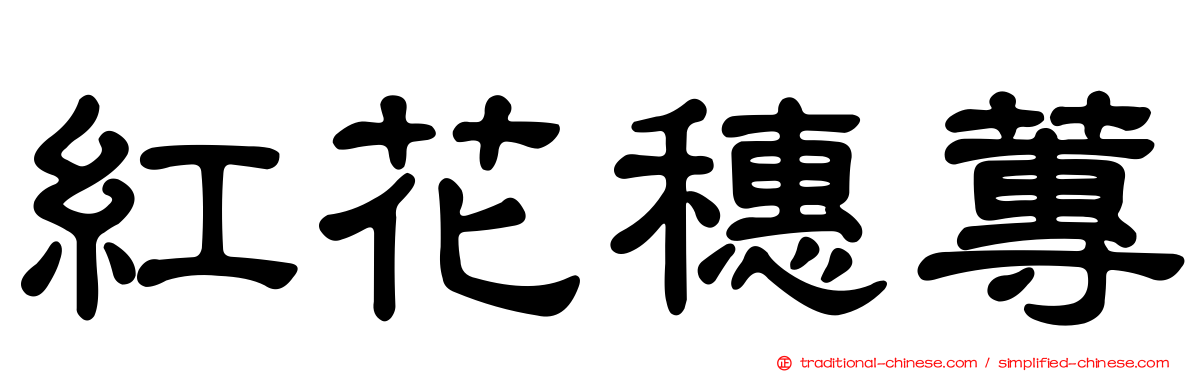 紅花穗蓴