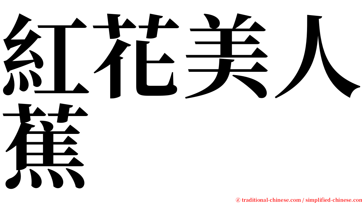 紅花美人蕉 serif font
