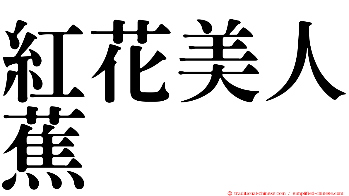 紅花美人蕉