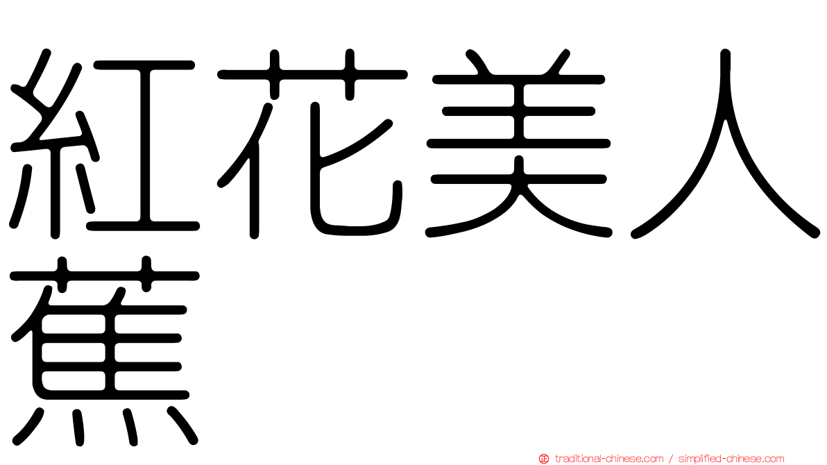 紅花美人蕉