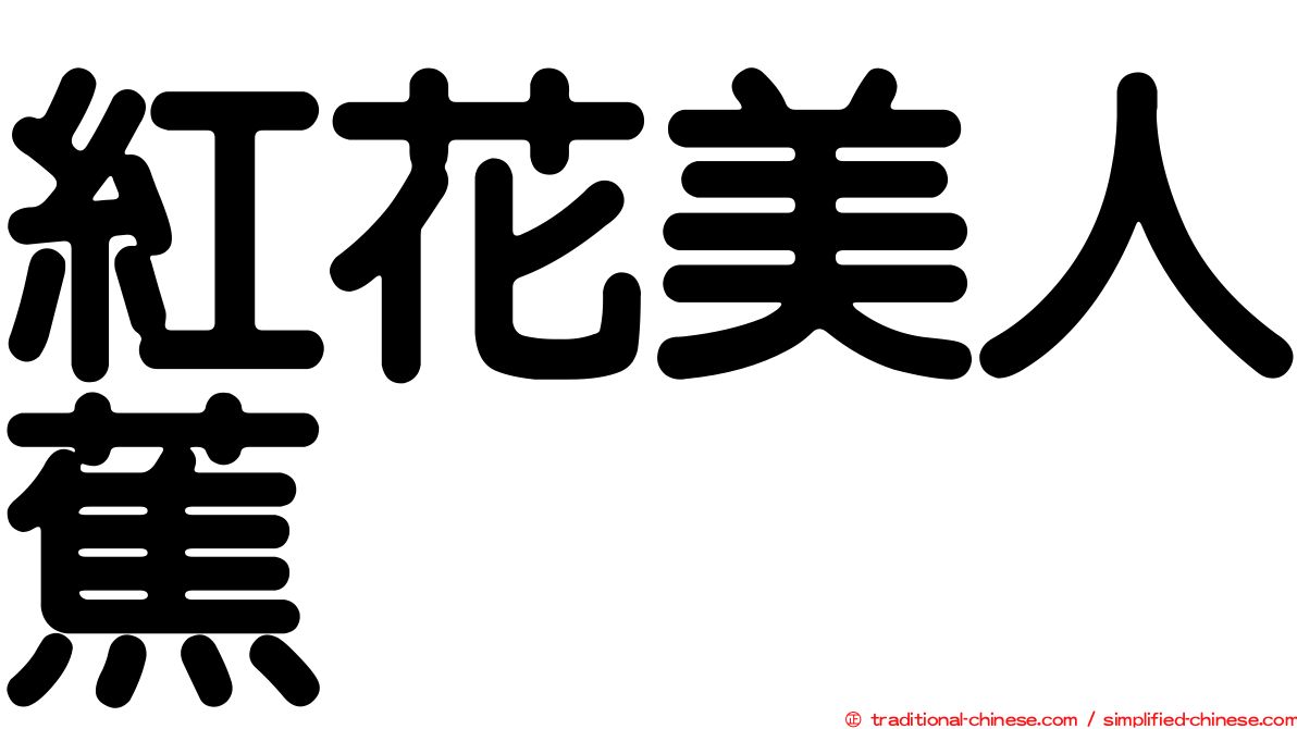 紅花美人蕉