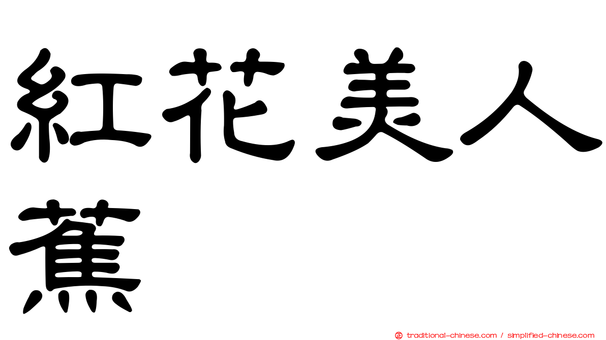 紅花美人蕉