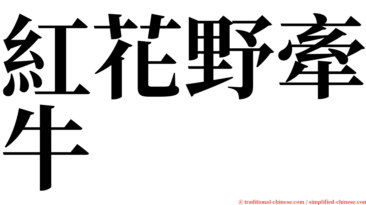 紅花野牽牛 serif font