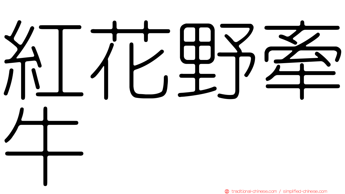 紅花野牽牛