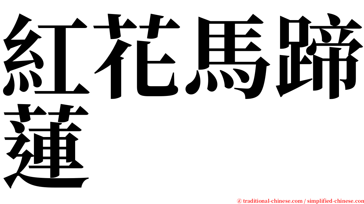 紅花馬蹄蓮 serif font