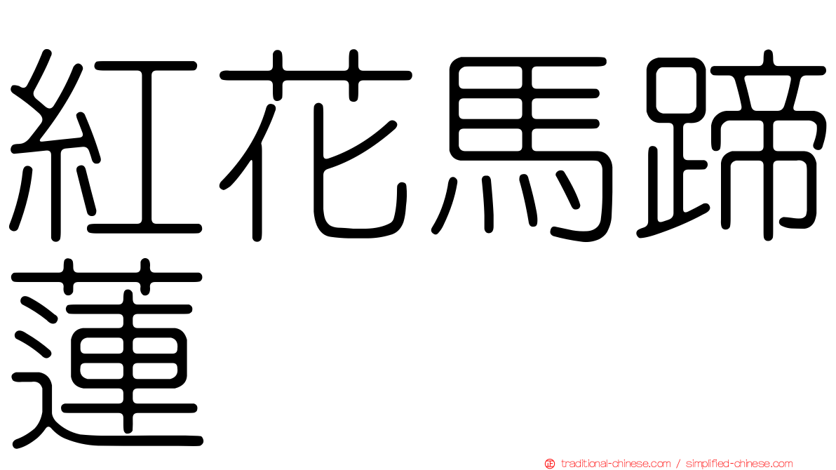 紅花馬蹄蓮