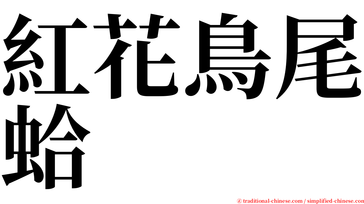 紅花鳥尾蛤 serif font