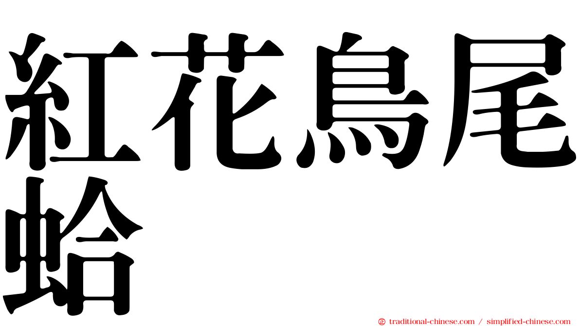 紅花鳥尾蛤