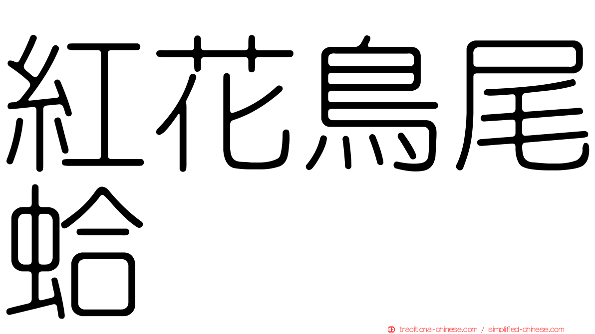 紅花鳥尾蛤
