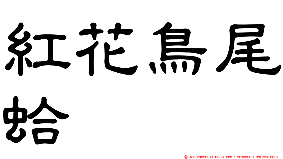紅花鳥尾蛤