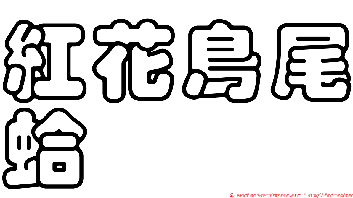 紅花鳥尾蛤
