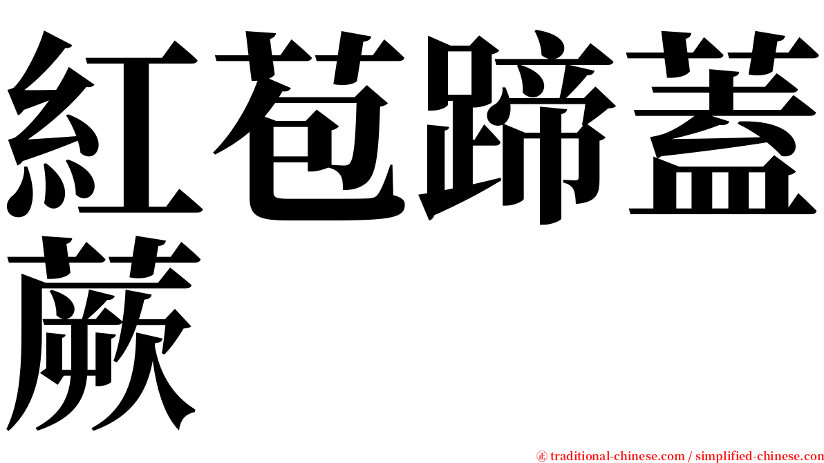 紅苞蹄蓋蕨 serif font