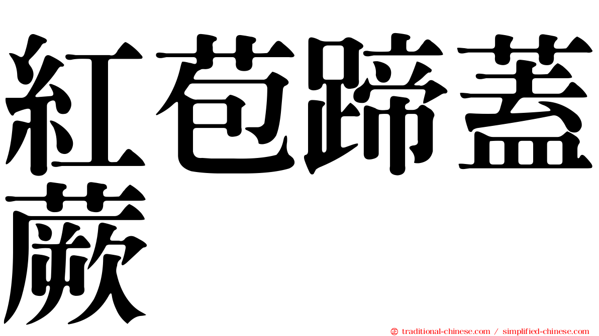 紅苞蹄蓋蕨