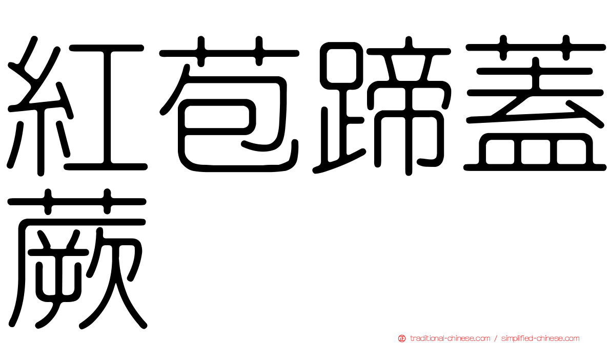 紅苞蹄蓋蕨