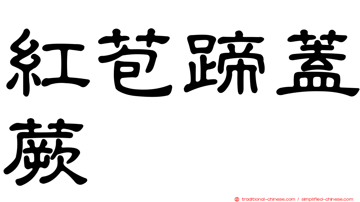 紅苞蹄蓋蕨