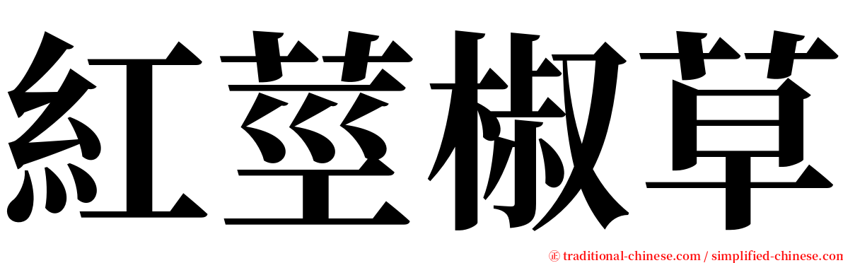 紅莖椒草 serif font