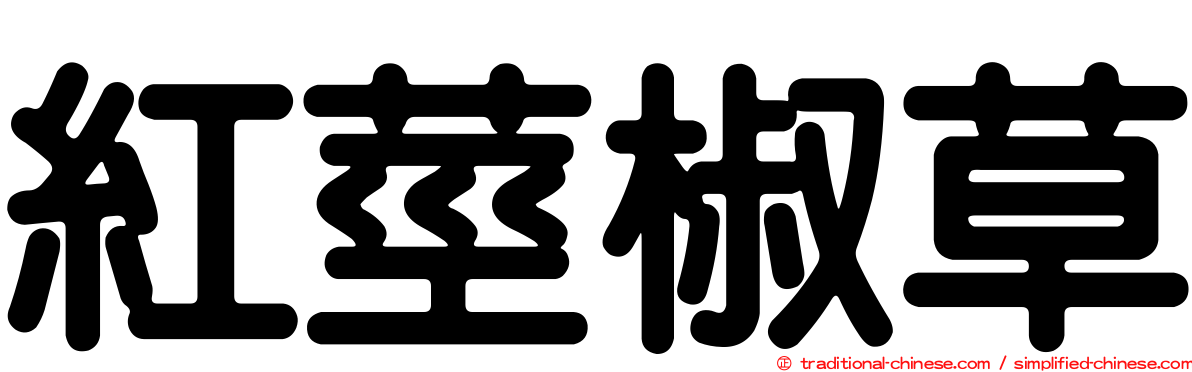 紅莖椒草