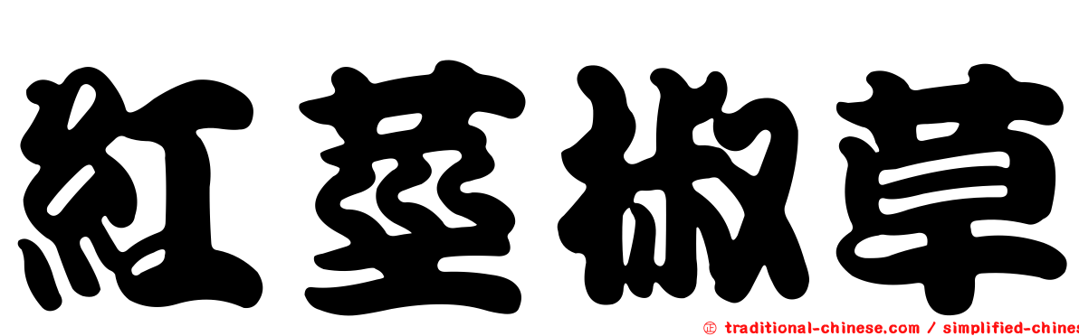 紅莖椒草