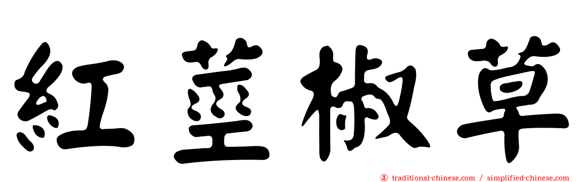 紅莖椒草
