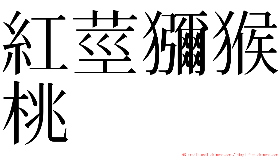 紅莖獼猴桃 ming font