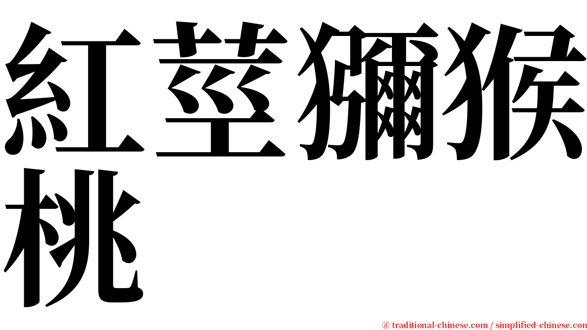 紅莖獼猴桃 serif font