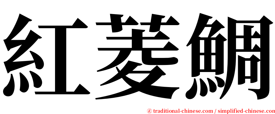 紅菱鯛 serif font