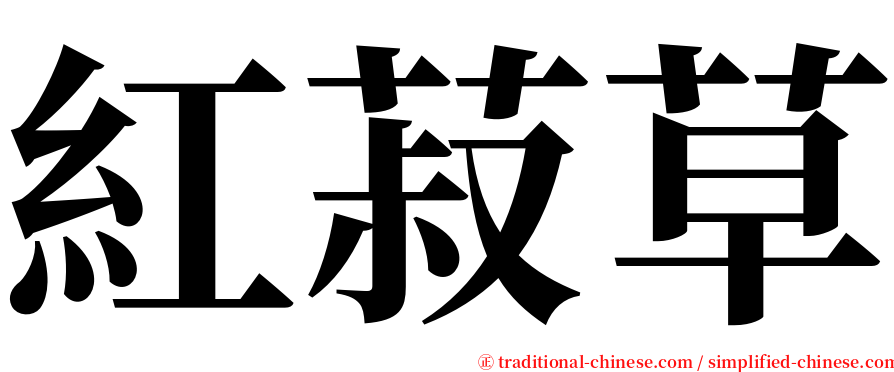 紅菽草 serif font